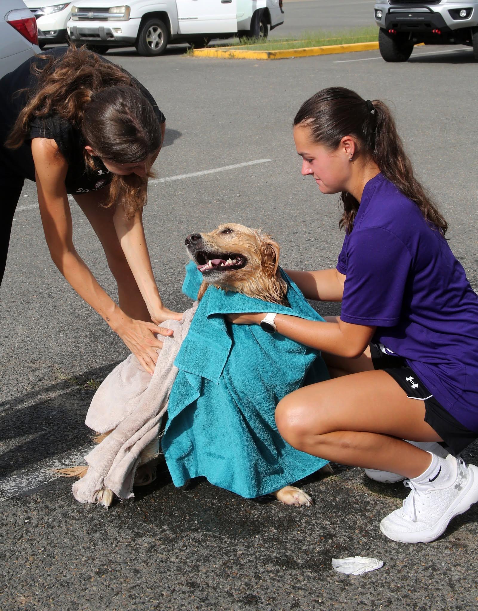 Feeds a rescued animal for one week.