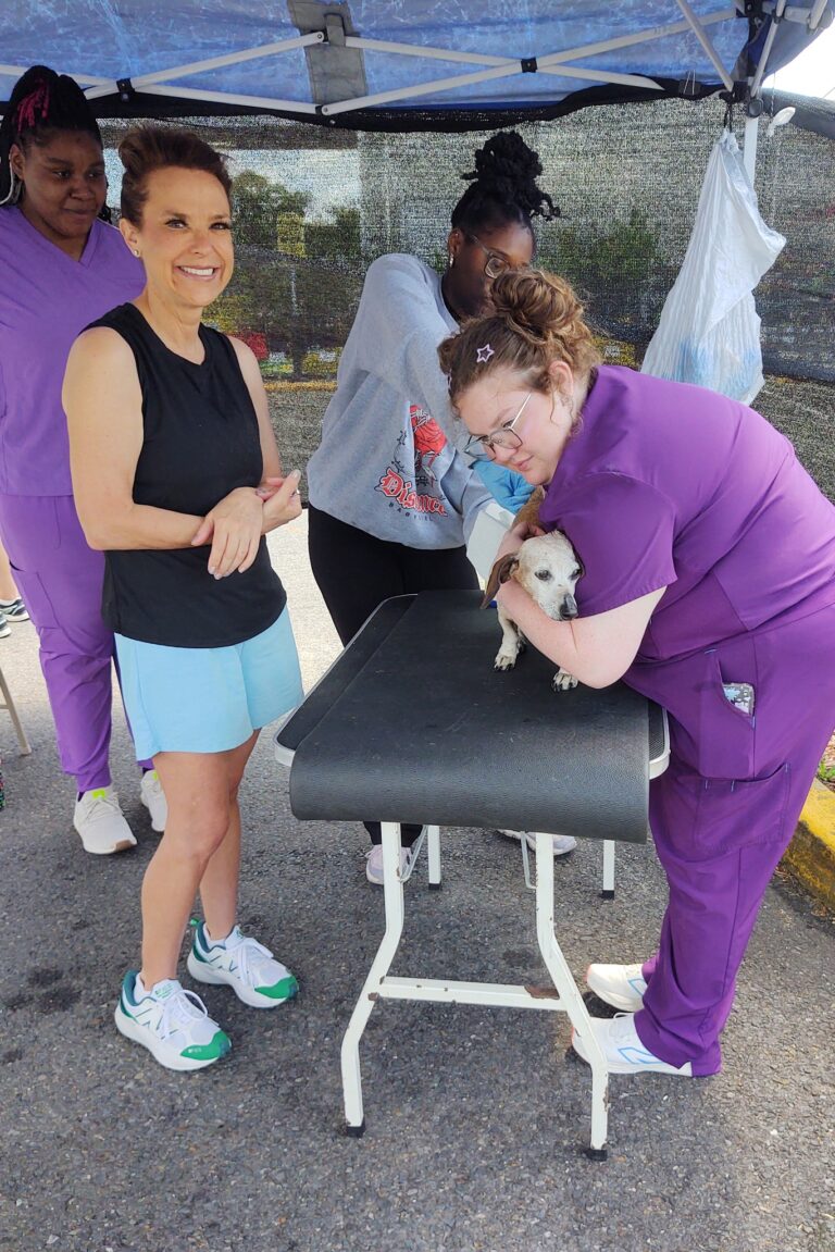 Programs Services FAUNA Programs services fauna